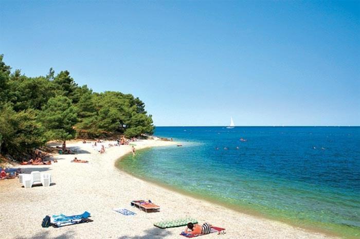 Apartment Golden Sun, Novigrad, Istria, Croatia Novigrad Istria 外观 照片